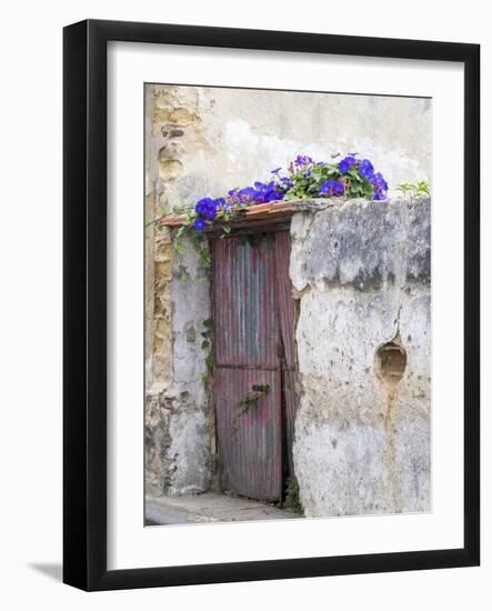 Portugal, Aveiro. Old red metal door with bright blue and pink morning glory flower-Julie Eggers-Framed Photographic Print