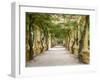 Portugal, Aveiro. Parque Dom Pedro Infante in Aveiro. Stone balustrade with pergola and columns.-Julie Eggers-Framed Photographic Print