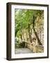 Portugal, Aveiro. Parque Dom Pedro Infante in Aveiro. Stone balustrade with pergola and columns.-Julie Eggers-Framed Photographic Print