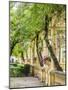 Portugal, Aveiro. Parque Dom Pedro Infante in Aveiro. Stone balustrade with pergola and columns.-Julie Eggers-Mounted Photographic Print