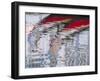 Portugal, Aveiro. Reflections of traditional and colorful salt boats, called Moliceiro-Julie Eggers-Framed Photographic Print