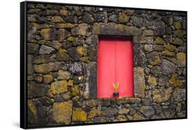 Portugal, Azores, Pico Island, Madalena. Red doors on barn-Walter Bibikow-Framed Stretched Canvas