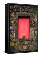 Portugal, Azores, Pico Island, Madalena. Red doors on barn-Walter Bibikow-Framed Stretched Canvas