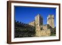 Brown Frame