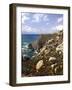 Portugal, Cabo Da Roca, Atlantikkv¼ste , Urlaubsort, Reiseziel, Kap, Atlantischer Ozean-Thonig-Framed Photographic Print