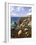 Portugal, Cabo Da Roca, Atlantikkv¼ste , Urlaubsort, Reiseziel, Kap, Atlantischer Ozean-Thonig-Framed Photographic Print