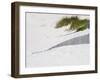 Portugal, Costa Nova. Beach grass, sand and old fence line at the beach resort of Costa Nova-Julie Eggers-Framed Photographic Print