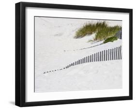 Portugal, Costa Nova. Beach grass, sand and old fence line at the beach resort of Costa Nova-Julie Eggers-Framed Photographic Print