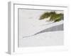 Portugal, Costa Nova. Beach grass, sand and old fence line at the beach resort of Costa Nova-Julie Eggers-Framed Photographic Print