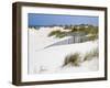 Portugal, Costa Nova. Beach grass, sand and old fence line at the beach resort of Costa Nova-Julie Eggers-Framed Photographic Print