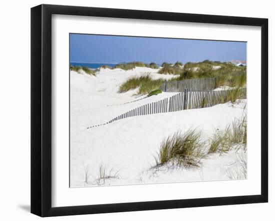 Portugal, Costa Nova. Beach grass, sand and old fence line at the beach resort of Costa Nova-Julie Eggers-Framed Photographic Print