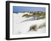 Portugal, Costa Nova. Beach grass, sand and old fence line at the beach resort of Costa Nova-Julie Eggers-Framed Photographic Print