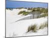 Portugal, Costa Nova. Beach grass, sand and old fence line at the beach resort of Costa Nova-Julie Eggers-Mounted Photographic Print