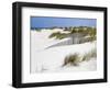 Portugal, Costa Nova. Beach grass, sand and old fence line at the beach resort of Costa Nova-Julie Eggers-Framed Photographic Print