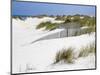 Portugal, Costa Nova. Beach grass, sand and old fence line at the beach resort of Costa Nova-Julie Eggers-Mounted Photographic Print