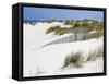 Portugal, Costa Nova. Beach grass, sand and old fence line at the beach resort of Costa Nova-Julie Eggers-Framed Stretched Canvas