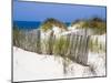 Portugal, Costa Nova. Beach grass, sand and old fence line at the beach resort of Costa Nova-Julie Eggers-Mounted Photographic Print