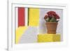 Portugal, Costa Nova do Prado. Colorful house with flowering plant on step.-Brenda Tharp-Framed Photographic Print