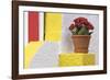 Portugal, Costa Nova do Prado. Colorful house with flowering plant on step.-Brenda Tharp-Framed Photographic Print