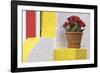 Portugal, Costa Nova do Prado. Colorful house with flowering plant on step.-Brenda Tharp-Framed Photographic Print