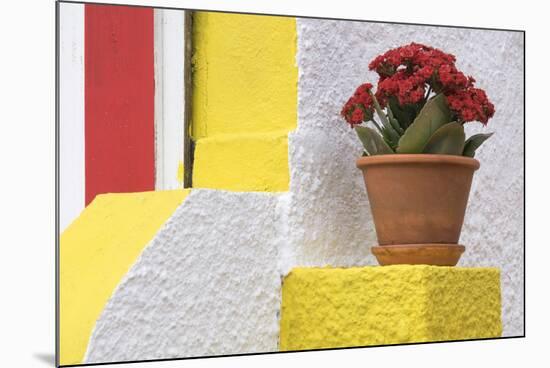 Portugal, Costa Nova do Prado. Colorful house with flowering plant on step.-Brenda Tharp-Mounted Photographic Print