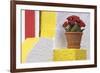 Portugal, Costa Nova do Prado. Colorful house with flowering plant on step.-Brenda Tharp-Framed Premium Photographic Print