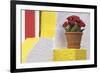 Portugal, Costa Nova do Prado. Colorful house with flowering plant on step.-Brenda Tharp-Framed Premium Photographic Print