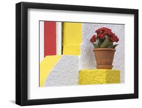 Portugal, Costa Nova do Prado. Colorful house with flowering plant on step.-Brenda Tharp-Framed Photographic Print
