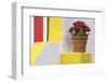 Portugal, Costa Nova do Prado. Colorful house with flowering plant on step.-Brenda Tharp-Framed Photographic Print