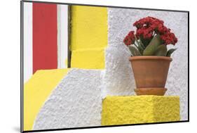 Portugal, Costa Nova do Prado. Colorful house with flowering plant on step.-Brenda Tharp-Mounted Photographic Print