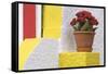 Portugal, Costa Nova do Prado. Colorful house with flowering plant on step.-Brenda Tharp-Framed Stretched Canvas