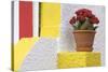 Portugal, Costa Nova do Prado. Colorful house with flowering plant on step.-Brenda Tharp-Stretched Canvas