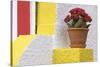 Portugal, Costa Nova do Prado. Colorful house with flowering plant on step.-Brenda Tharp-Stretched Canvas