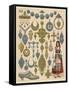 Portugal Costume-French School-Framed Stretched Canvas