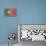 Portugal Country Flag - Barnwood Painting-Lantern Press-Stretched Canvas displayed on a wall