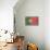 Portugal Country Flag - Barnwood Painting-Lantern Press-Stretched Canvas displayed on a wall
