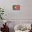 Portugal Country Flag - Barnwood Painting-Lantern Press-Stretched Canvas displayed on a wall