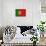 Portugal Country Flag - Letterpress-Lantern Press-Art Print displayed on a wall