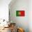 Portugal Country Flag - Letterpress-Lantern Press-Mounted Art Print displayed on a wall