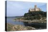 Portugal, District of Santarem, Almourol Island, Parish in Vila Nova De Barquinha, Castle-null-Stretched Canvas