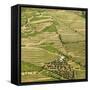 Portugal, Douro, Terraced Vineyards and Farm-Shaun Egan-Framed Stretched Canvas