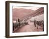 Portugal, Douro Valley. Backcountry road through the vineyards-Terry Eggers-Framed Photographic Print