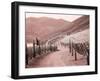 Portugal, Douro Valley. Backcountry road through the vineyards-Terry Eggers-Framed Photographic Print