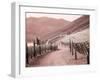 Portugal, Douro Valley. Backcountry road through the vineyards-Terry Eggers-Framed Photographic Print