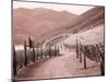 Portugal, Douro Valley. Backcountry road through the vineyards-Terry Eggers-Mounted Photographic Print