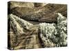 Portugal, Douro Valley. Backcountry road through the vineyards-Terry Eggers-Stretched Canvas