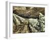 Portugal, Douro Valley. Backcountry road through the vineyards-Terry Eggers-Framed Photographic Print