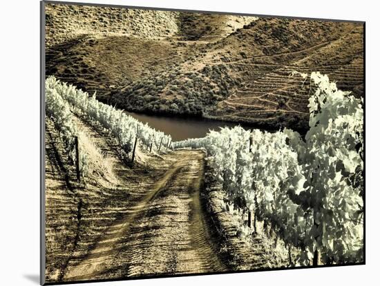 Portugal, Douro Valley. Backcountry road through the vineyards-Terry Eggers-Mounted Photographic Print