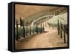 Portugal, Douro Valley. Backcountry road through the vineyards-Terry Eggers-Framed Stretched Canvas