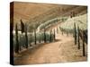 Portugal, Douro Valley. Backcountry road through the vineyards-Terry Eggers-Stretched Canvas